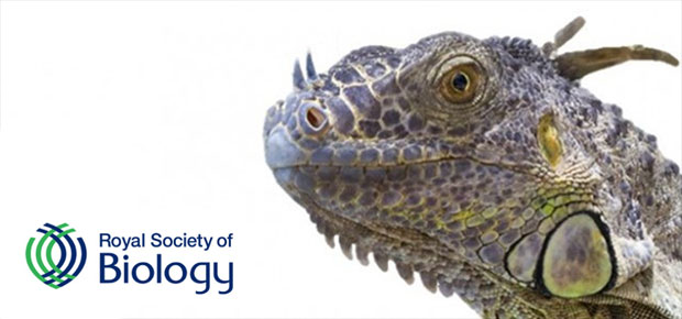 Royal Society of Biology, Outreach and Engagement Biology Week Grant Scheme 2019