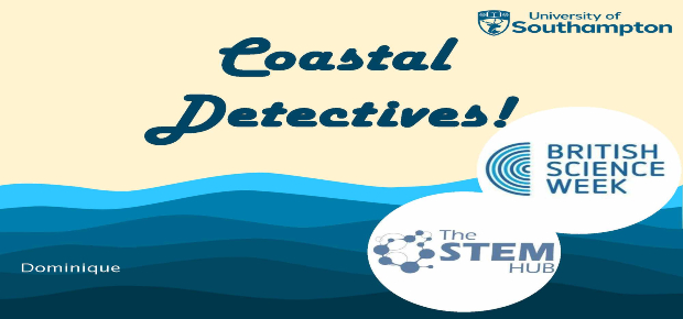 Working as a Coastal Detective