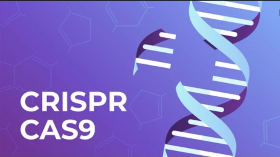 Learn about CRISPR-Cas9
