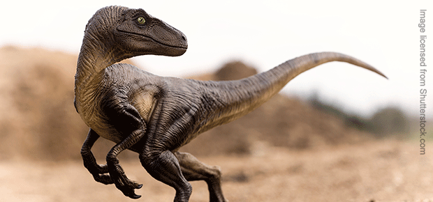 What did the velociraptor really look like?