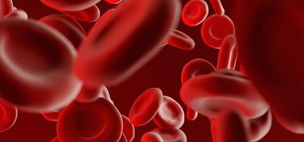 What are blood cells?