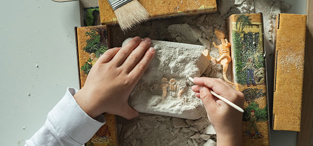 Excavate your own fossils