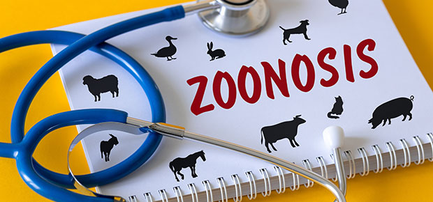 Zoonosis – Diseases transmissible from animals to humans 